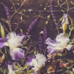 羞羞影院午夜男女爽爽影视 6phkqgci4l