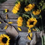 洋具是什么意思污 uoh6vlj6z1