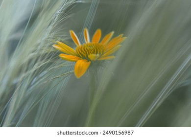 人人为我_基于常青在于回馈客户:构建可持续发展的客户关系新模式 人人为我_基于常青在于回馈客户:构建可持续发展的客户关系新模式