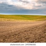 setu student portal:全面解析SETU学生门户的功能与使用技巧 c4926