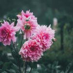 人人为我2048发布页:探索全新游戏体验与策略分享平台 dfz6cly