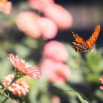 zztt黑料没了吗:揭秘背后的真相与最新动态分析 g5l63rmwt9